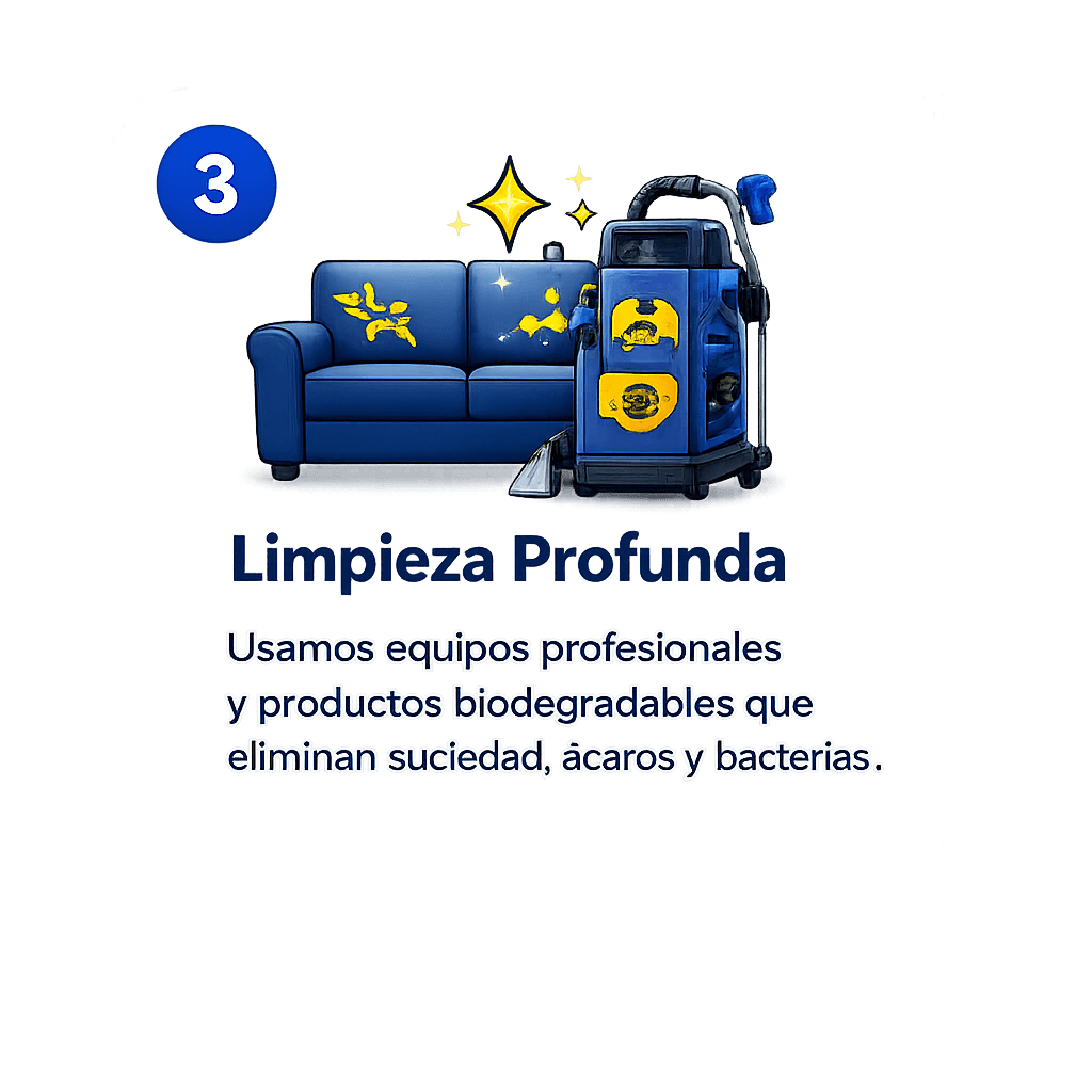 Limpieza Profunda